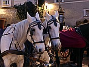 ID: 209: Salzburg / 08.12.2014