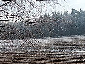 ID: 209: Winterwanderung / Oberhaverbeck / 26.12.2014