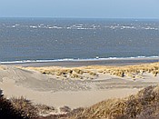 ID: 209: Strandspaziergang / Nieuw-Haamstede / 07.02.2015