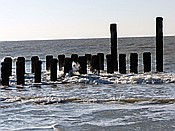 ID: 209: Strandspaziergang / Nieuw-Haamstede / 07.02.2015