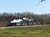 Foto SP_2015_04376: DR 99 1574-5 / Oschatz / 19.04.2015