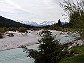 ID: 209: Isaraue / Vorderriss / 05.05.2015