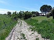 Foto SP_2015_05259: Wanderung zum Fluss Cecina / Pomarance / 07.05.2015