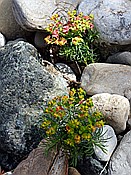 ID: 209: Wanderung zum Fluss Cecina / Pomarance / 07.05.2015
