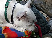ID: 209: Wanderung zum Fluss Cecina / Pomarance / 07.05.2015