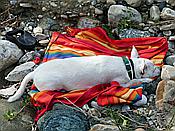 ID: 209: Wanderung zum Fluss Cecina / Pomarance / 07.05.2015