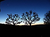 ID: 209: Abendstimmung / Pomarance / 07.05.2015