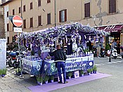 ID: 209: Stadtansichten / Volterra / 08.05.2015