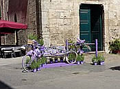ID: 209: Stadtansichten / Volterra / 08.05.2015