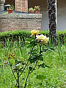ID: 209: Stadtansichten / San Gimignano / 08.05.2015