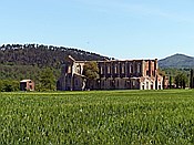 ID: 209: Ruine Abbazia San Galgano / Chiusdino / 10.05.2015
