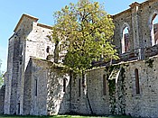 ID: 209: Ruine Abbazia San Galgano / Chiusdino / 10.05.2015