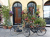 ID: 209: Besichtigung / Lucca / 14.05.2015