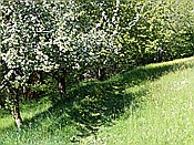 Foto SP_2015_05786: Wanderung / Oberinn / 17.05.2015