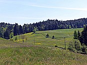 Foto SP_2015_05790: Wanderung / Oberinn / 17.05.2015