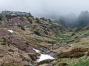 Foto SP_2015_05818: Wanderung / Schwarzseespitz - Oberinn / 19.05.2015