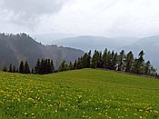 ID: 209: Wanderung / Schwarzseespitz - Oberinn / 19.05.2015