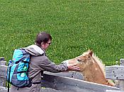ID: 209: Wanderung / Schwarzseespitz - Oberinn / 19.05.2015