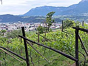 ID: 209: Wanderung / Bozen / 23.05.2015