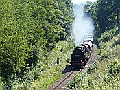 ID: 209: DR 95 1027-2 / Wasungen / 12.09.2015