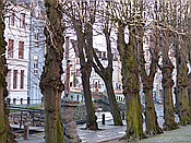 Foto SP_2015_12543: Frische Grube / Wismar / 12.12.2015