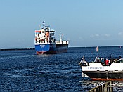 ID: 209: Wanderung Hohe Duene / Rostock / 04.02.2016