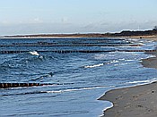 ID: 209: Wanderung Hohe Duene / Rostock / 04.02.2016