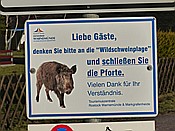 ID: 209: Wanderung Hohe Duene / Rostock / 04.02.2016
