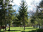 Foto SP_2016_05206: Isarstausee + Huettelbachklamm Rundgang / Kruen / 07.05.2016