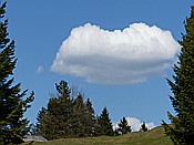 Foto SP_2016_05247: Wanderung / Mittenwald - Kruen / 08.05.2016