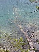 ID: 209: Eibsee / Grainau / 11.05.2016