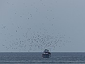 Foto SP_2016_05510: Rundgang / Port de Soller / 24.05.2016