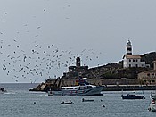 Foto SP_2016_05513: Rundgang / Port de Soller / 24.05.2016