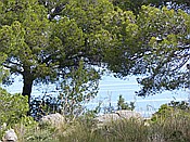 Foto SP_2016_05543: Wanderung / Port de Soller / 25.05.2016