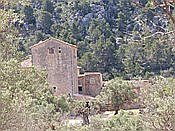 Foto SP_2016_05548: Wanderung / Port de Soller / 25.05.2016