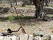 Foto SP_2016_05549: Wanderung / Port de Soller / 25.05.2016