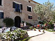 Foto SP_2016_05556: Wanderung / Port de Soller / 25.05.2016
