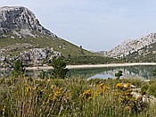 Foto SP_2016_05562: Wanderung Cami des Barrances / Soller / 26.05.2016