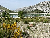 Foto SP_2016_05563: Wanderung Cami des Barrances / Soller / 26.05.2016