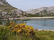Foto SP_2016_05564: Wanderung Cami des Barrances / Soller / 26.05.2016