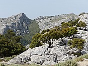 ID: 209: Wanderung Cami des Barrances / Soller / 26.05.2016