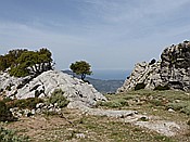 ID: 209: Wanderung Cami des Barrances / Soller / 26.05.2016