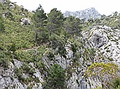 ID: 209: Wanderung Cami des Barrances / Soller / 26.05.2016