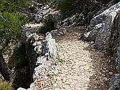 ID: 209: Wanderung Cami des Barrances / Soller / 26.05.2016