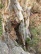 ID: 209: Wanderung Cami des Barrances / Soller / 26.05.2016