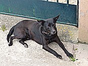 ID: 209: Wanderung Richtung Sa Figuera / Port de Soller / 28.05.2016