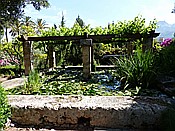 ID: 209: Botanischer Garten / Soller / 30.05.2016