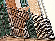 ID: 209: Balkon / Soller / 31.05.2016