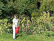 ID: 209: Rundwanderung / Wolkenstein / 29.09.2016