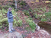 Foto SP_2016_10514: Wanderung / Mitterfirmiansreut - Hammerklause / 24.10.2016